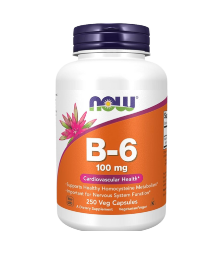 Now Vitamin B-6 (Pyridoxine HCl) 100mg 100 Capsules – Dietary Supplement in Sri Lanka