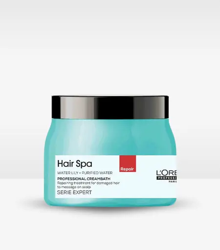 Loreal Paris Hair Spa Repairing Cream Bath 490g